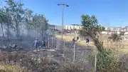 Kocaeli'de Saman Yüklü Tırda Çıkan Yangın Geniş Alana Yayıldı