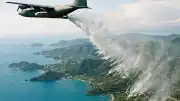 İzlanda'da Erozyonla Mücadele İçin Kullanılan Bitki Yeni Bir Ekolojik Krize Yol Açtı
