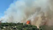 Çanakkale'de Orman Yangını: Havadan ve Karadan Müdahale Devam Ediyor