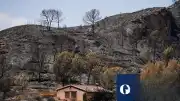İspanya'daki Yangınlarda 12 Yabancı Uyruklu Vatandaş Hayatını Kaybetti