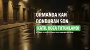 İstanbul'da Kadın Cinayeti: Şüpheli Eş Tutuklandı