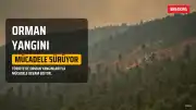 Türkiye Orman Yangınlarıyla Mücadele Ediyor: Antalya ve Muğla'da Son Durum