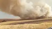 Mardin Mazıdağı'nda Tarla Yangını Çıktı