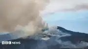 Gwynedd'deki Orman Yangınları İçin Havadan Müdahale Başlatıldı