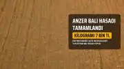Anzer Balı Hasadı Tamamlandı: Kilogramı 7 Bin TL'den Satışa Sunulacak