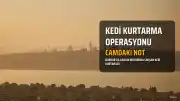 Burdur'da Duyarlı Vatandaşın Notu, Motor Bölümüne Sıkışan Kedinin Hayatını Kurtardı