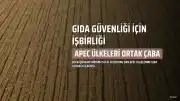 Çin Başbakan Yardımcısı Liu Guozhong: APEC Ülkeleri Gıda Güvenliğini Güçlendirmek İçin İşbirliği Yapmalı