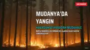 Mudanya'da Orman Dışı Alanda Çıkan Yangına Havadan ve Karadan Müdahale Ediliyor