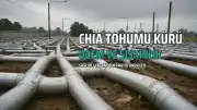Ödem ve Şişkinliğe Karşı Chia Tohumu Kürü: Etkili mi?