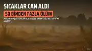 Avrupa'da Aşırı Sıcaklar Can Aldı: 50 Binden Fazla Ölüm Tahmin Ediliyor