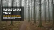 Uludağ'da Kar Yağışı Başladı, Oteller Bölgesi Beyaza Büründü