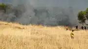 Ayvalık Sakarya Mahallesi'nde Otluk Alanda Yangın Çıktı