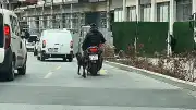 Kağıthane'de Köpeğini Motosiklete Bağlayarak Koşturan Sürücüye Para Cezası Uygulandı