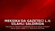 Meksika'da Gazeteci L.V. Silahlı Saldırıda Hayatını Kaybetti