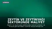 Zeytin ve Zeytinyağı Sektöründe Maliyet ve İhracat Kaygısı