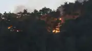 Adana Kozan'da Orman Yangını: Kontrol Altına Alındı