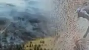 Ankara'da Otluk Alandaki Yangının Kundaklama Olduğu Ortaya Çıktı