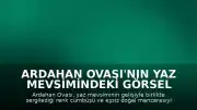Ardahan Ovası'nın Yaz Mevsimindeki Görsel Şöleni Havadan Kaydedildi