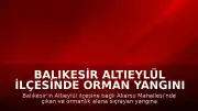 Balıkesir Altıeylül İlçesinde Orman Yangını Çıktı