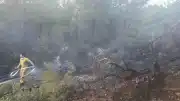 Bilecik'te Çıkan Örtü ve Orman Yangını Kontrol Altına Alındı