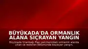 Büyükada'da Ormanlık Alana Sıçrayan Yangın Kontrol Altına Alındı