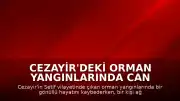 Cezayir'deki Orman Yangınlarında Can Kaybı ve Yaralanma Bildirildi