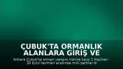 Çubuk'ta Ormanlık Alanlara Giriş ve Kamp Faaliyetleri Yasaklandı