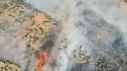 Denizli Pamukkale'de Orman Yangını Çıktı