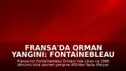 Fransa'da Orman Yangını: Fontainebleau Ormanı'nda Bin 980 Dönümlük Alan Kül Oldu