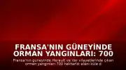 Fransa'nın güneyinde orman yangınları: 700 hektarlık alan küle döndü