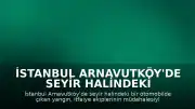 İstanbul Arnavutköy'de seyir halindeki otomobil yanarak kullanılamaz hale geldi