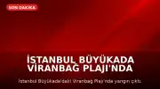 İstanbul Büyükada Viranbağ Plajı'nda Yangın Çıktı