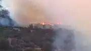 İzmir Bornova'da Orman Yangını Kontrol Altına Alındı