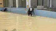 Kastamonu'da Şiddetli Yağış Sel Felaketine Yol Açtı: Tahliyeler ve Yol Kapanmaları