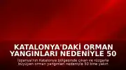 Katalonya'daki Orman Yangınları Nedeniyle 50 Bine Yakın Kişi Tahliye Edildi