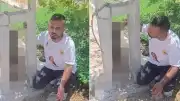 Kırıkhan'da Sahipli Köpek Direğe Asılı Bulundu: Vahşet İddiası