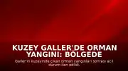 Kuzey Galler'de Orman Yangını: Bölgede Acil Durum İlan Edildi