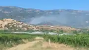 Manisa Sarıgöl'de çıkan maki yangını ormanlık alana yayıldı