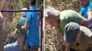 Muğla Bodrum'da Kendini Yakmak İsteyen Kadın Makilik Alanı Ateşe Verdi