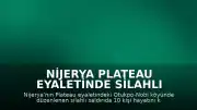 Nijerya Plateau Eyaletinde Silahlı Saldırı: 10 Ölü