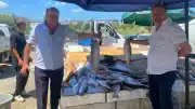 Samsun Çarşamba'da 40 Yıllık Meslek Serüveni: İkiz Kardeşlerin Balıkçılık Hikayesi