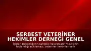 Serbest Veteriner Hekimler Derneği Genel Başkanı Bilsay Kanat: "Bize kaç hayvan toplandığını değil, kaçının yaşatıldığını söyleyin"