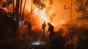 Türkiye'den İspanya'daki Orman Yangınlarına Hava Desteği