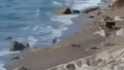 Zonguldak Filyos Sahili'nde Askeri İHA Bulundu: Geniş Güvenlik Önlemi Alındı