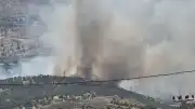 Adıyaman Gerger'de Orman Yangını: Ekipler Müdahale Ediyor
