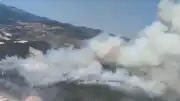 Balıkesir'in Sındırgı İlçesinde Ormanlık Alanda Yangın: Geniş Müdahale