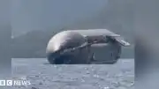 SpaceX Roketi Noel Adası Sahilinde Görüldü