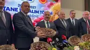 Aydın'da Sezonun İlk Kestanesi Kilogramı 600 TL'den Alındı