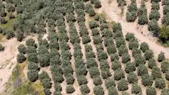 Osmaniye'de Kaçak Kazıya Dronla Müdahale: 6 Gözaltı