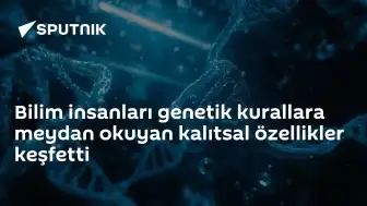 Bilim İnsanları Epigenetik Alanında Çığır Açan Keşifler Yaptı